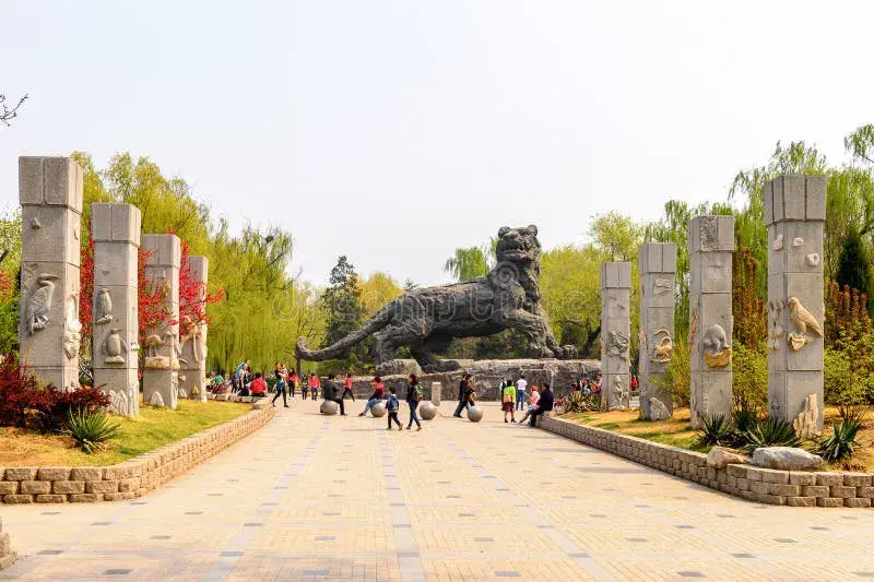 Pekin — Pandas, Grande Muraille et Parc Olympique - Photo 1