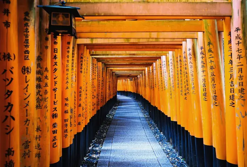 Kyoto — Bambous, Kinkaku-ji et Fushimi Inari - Photo 3