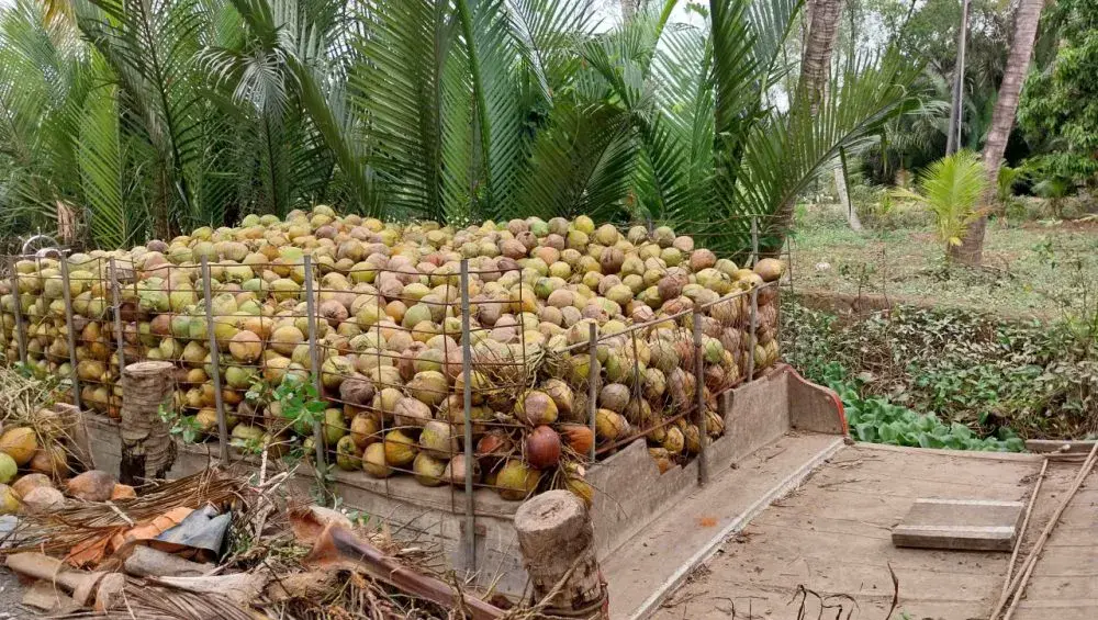 Saigon – Ben Tre – Saigon - Photo 3